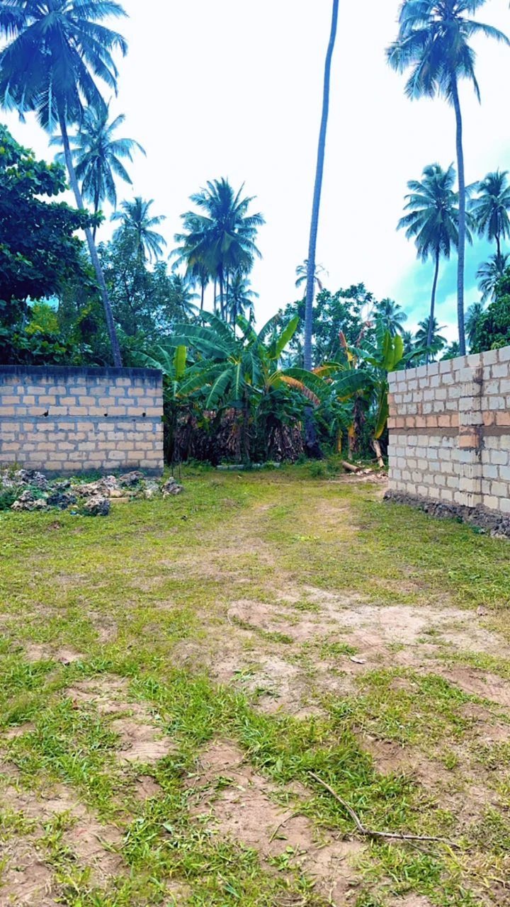 Nyumba ya kupangisha 750 m². Kusaini, Zanzibar , Mji wa Zanzibar. 